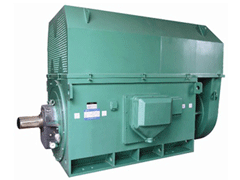 YJTFKK4505-2/800KWYKK系列高压电机