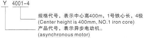 西安泰富西玛Y系列(H355-1000)高压YJTFKK4505-2/800KW三相异步电机型号说明